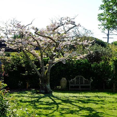 Garden Retreat Apartman Otaki Kültér fotó